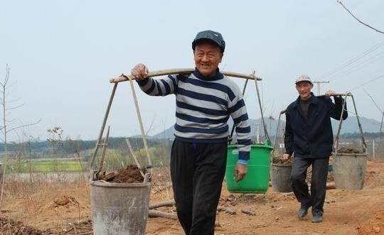 施用生物有機肥對土壤的影響有哪些？